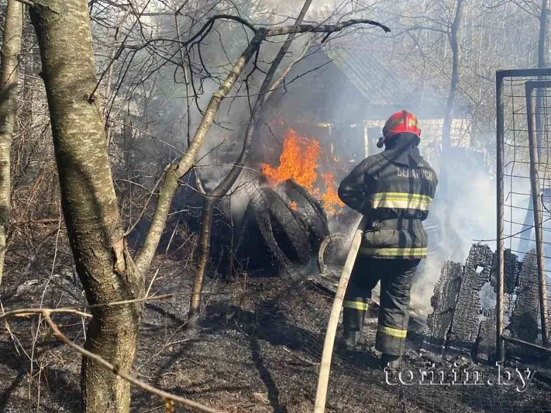В Вистычах Брестского района горела сухая трава. Лесной пожар удалось предотвратить