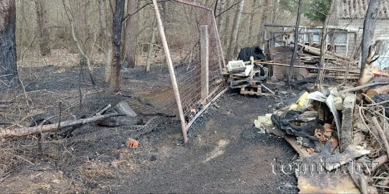 В Вистычах Брестского района горела сухая трава. Лесной пожар удалось предотвратить