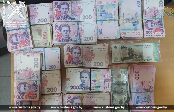 Более 75 фактов контрабанды валюты на $600 тыс. выявили брестские таможенники