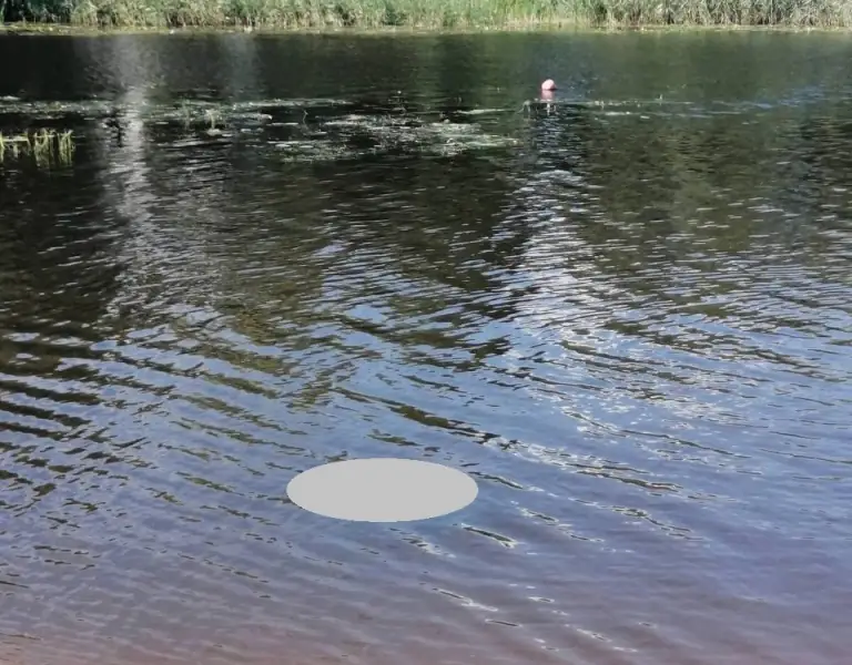 На озере Каташи в Кобринском районе спасены четверо детей