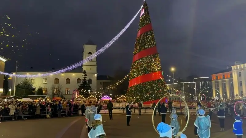 В Бресте зажгла огни главная новогодняя ёлка города