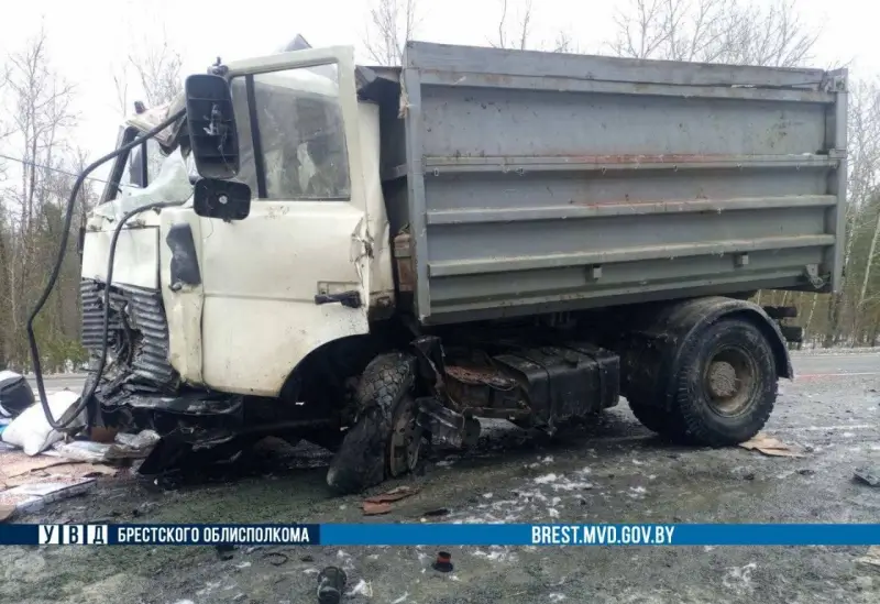 Лобовое ДТП грузовиков в Дрогичинском районе: МАЗ с лопнувшим колесом врезался во встречный «Рено». Погиб водитель