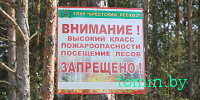 Где в Беларуси действуют ограничения и запреты на посещение лесов