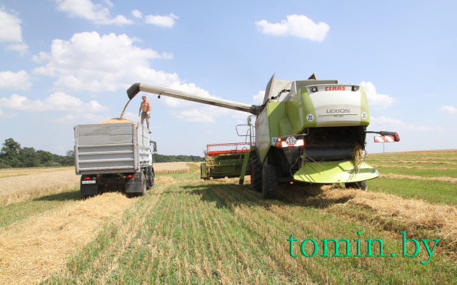 Рекордный урожай зерновых собран на Брестчине - фото
