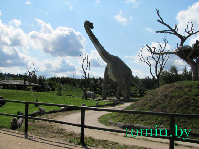 Леба. Парк динозавров - фото