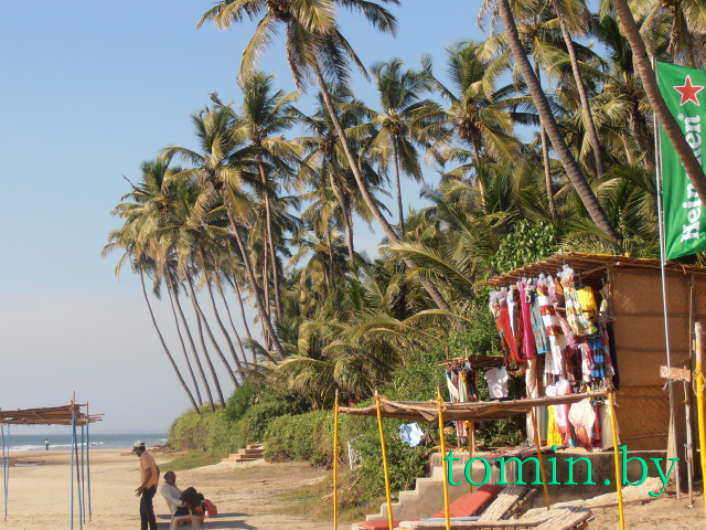 Пляжи Гоа: октябрьское путешествие в индийскую зиму - фото