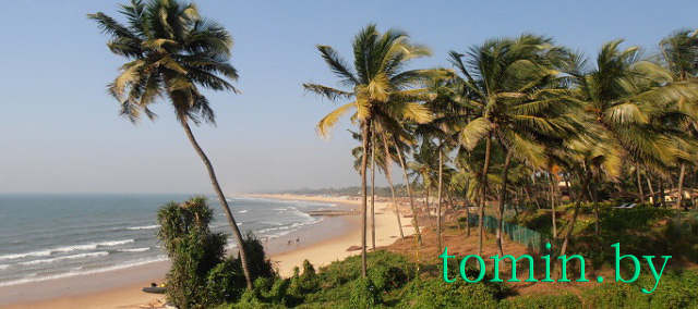 Пляжи Гоа: октябрьское путешествие в индийскую зиму - фото