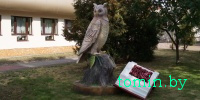 В Бресте у детской городской библиотеки «поселилась» сова - фото