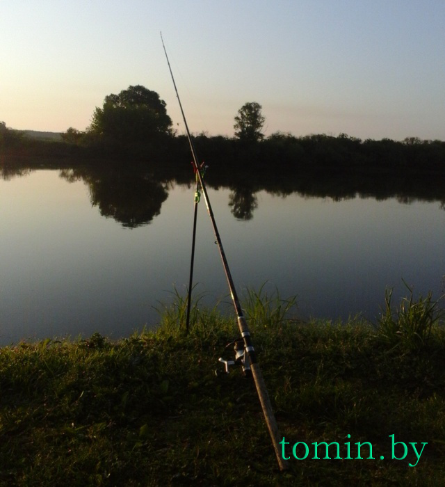 Летняя рыбалка на Днепре в Стрешине – фото