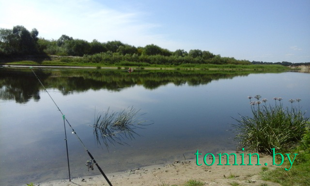 Воскресная рыбалка в Новоселках Ветковского района – фото