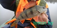 Рыбалка в ноябре: охота на хищника – первые шаги - фото
