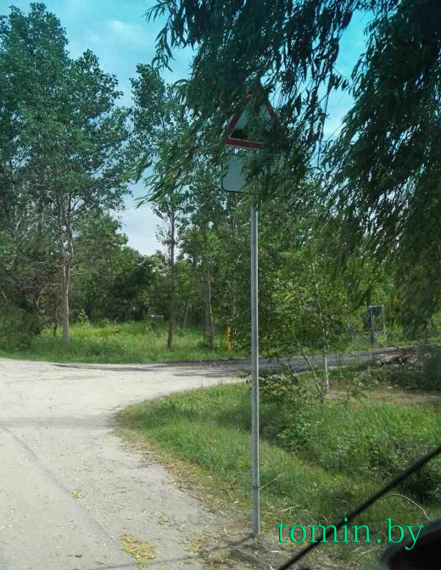 По дороге на Каменицу-Жировецкую установили «лежащий полицейский», а дорожный знак «спрятали» за ветками дерева - фото