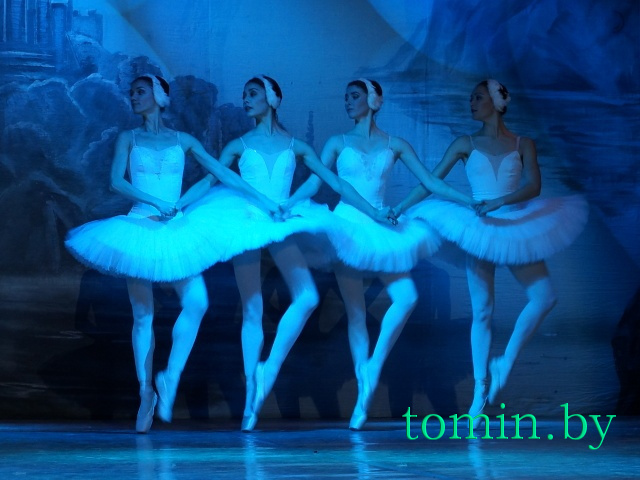 Балет «Лебединое озеро» Большого театра Беларуси. Танец маленьких лебедей. Фото Тамары ТИБОРОВСКОЙ