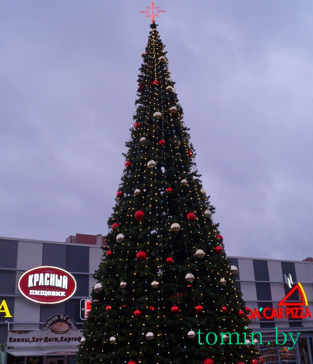 Торговый центр «Экватор» в Бресте: церемония открытия новогодней ёлки. Фото Тамары ТИБОРОВСКОЙ