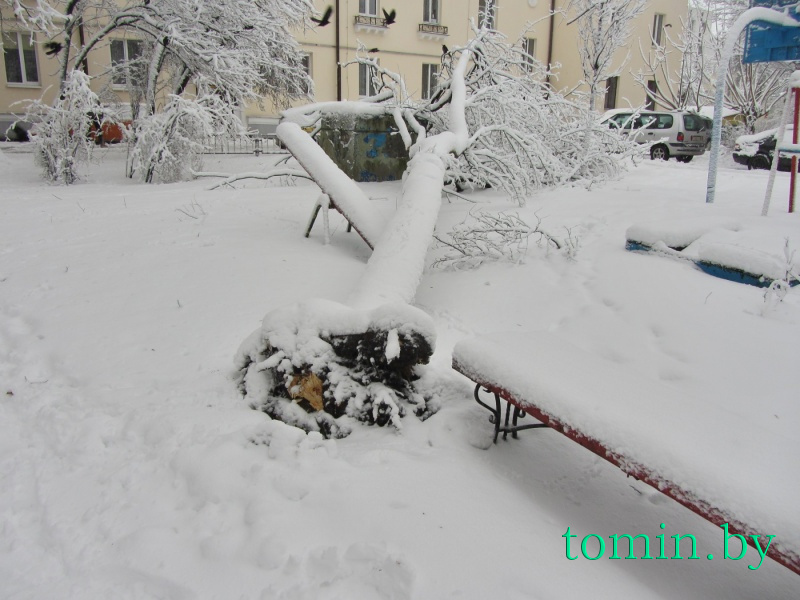 Последствия снегопада в Бресте