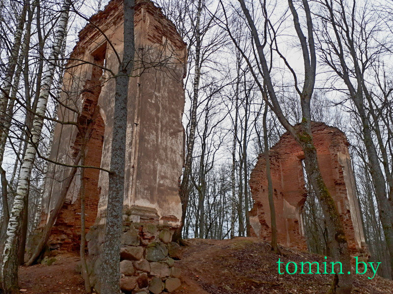 Руины бывшей усадьбы графов Тышкевичей в Логойске - фото