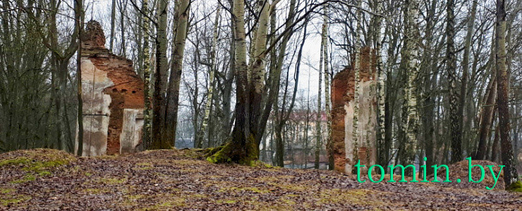 Руины бывшей усадьбы графов Тышкевичей в Логойске - фото