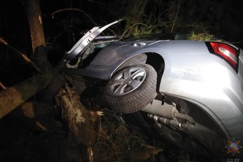 В Каменецком районе «Шкода» врезалась в дерево: как спасали девушку-водителя