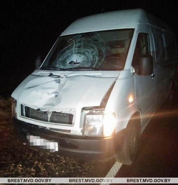 В Каменецком районе микроавтобус насмерть сбил 58-летнего мужчину