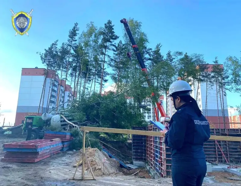 Сильный ветер в Беларуси: два человека погибли под упавшими деревьями