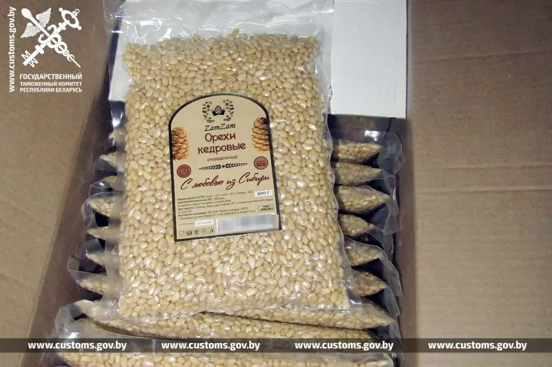 Белорусы незаконно вывезли в Украину 6,5 тонны кедровых орехов: возбуждено уголовное дело