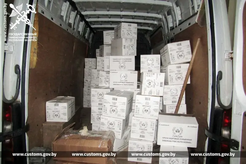 Белорусы незаконно вывезли в Украину 6,5 тонны кедровых орехов: возбуждено уголовное дело