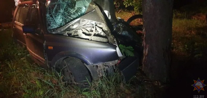 У Логишина легковушка врезалась в дерево: водителю потребовалась помощь спасателей