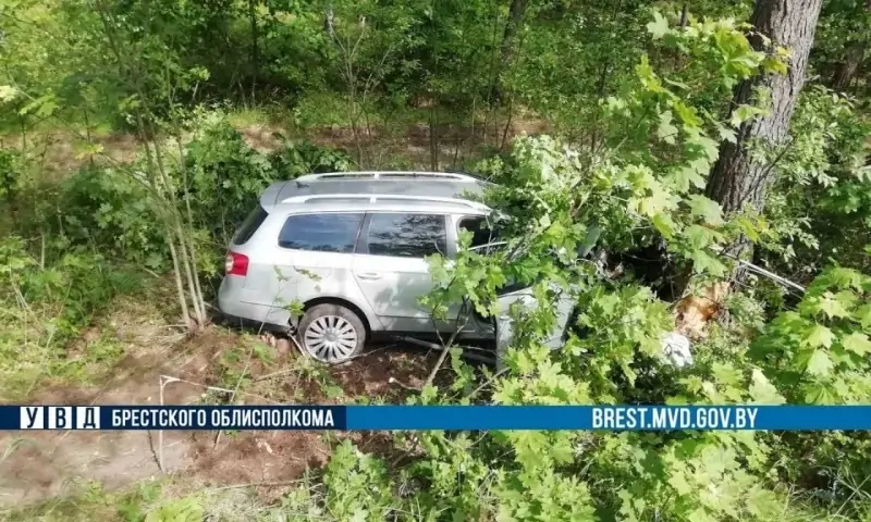 В Ганцевичском районе водитель уснул за рулем: машина врезалась в дерево, пострадали две девочки