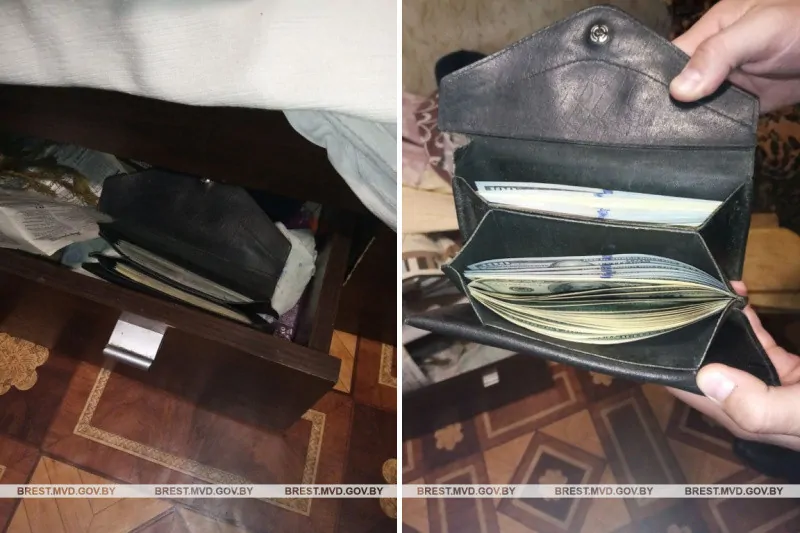 Житель Барановичей украл 14 тысяч долларов у матери. Думал, что не заметит