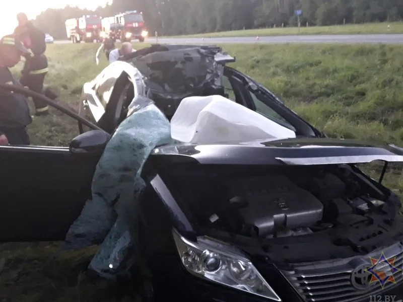 «Тойота» столкнулась с лосем: пассажиру потребовалась помощь спасателей