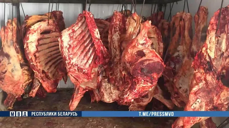 На Брестчине выявлено почти пять тонн нелегального мяса