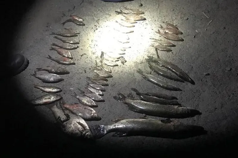 В Лунинецком районе отец и сын добыли сетью 52 особи рыбы: улов «потянул» на уголовное дело