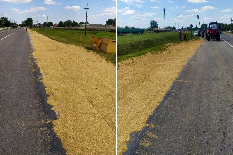 В Кобрине грузовик «рассыпал» 4 тонны зерна на 2 километрах дороги