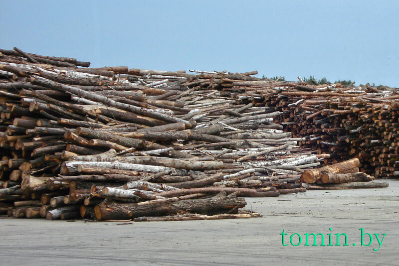 Правила реализации древесины в Беларуси