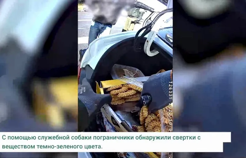 В пункте пропуска «Брест» у россиян изъяли 80 кг гашиша