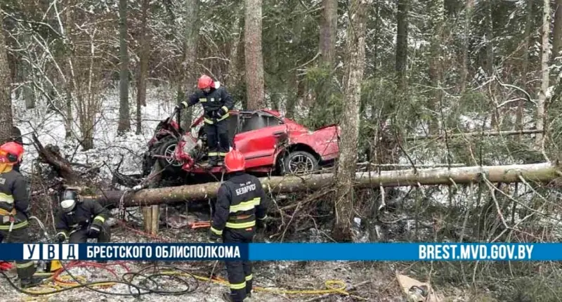 В Барановичском районе «Мицубиси» врезался в деревья: от машины осталась груда металла