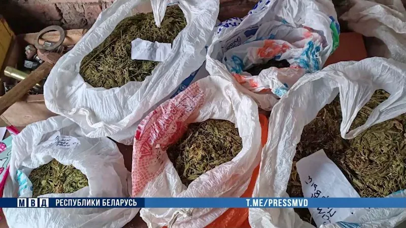 В Пинском районе задержали торговца марихуаной