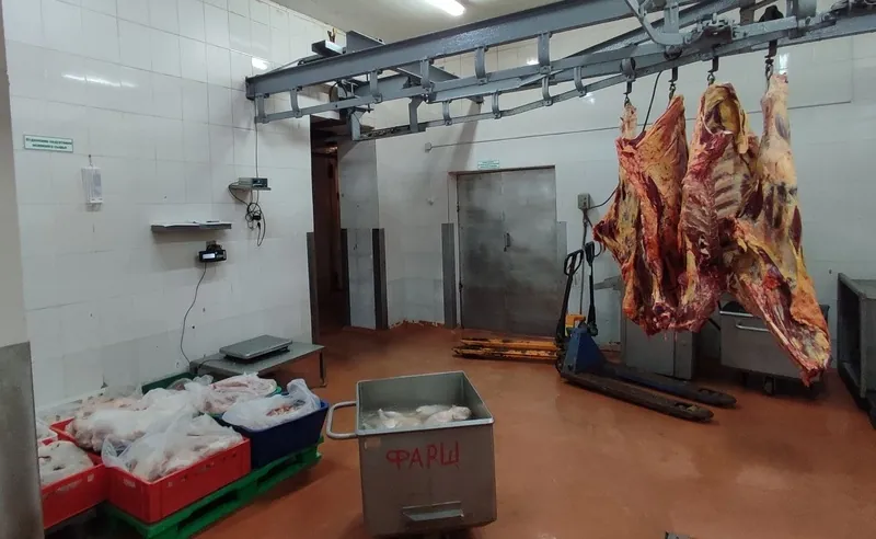 «Излишки» при разделке туш: работники вынесли с предприятия более 7 тонн говядины