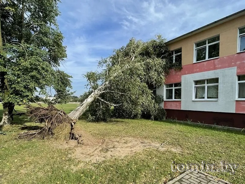 Последствия грозы в Брестском районе