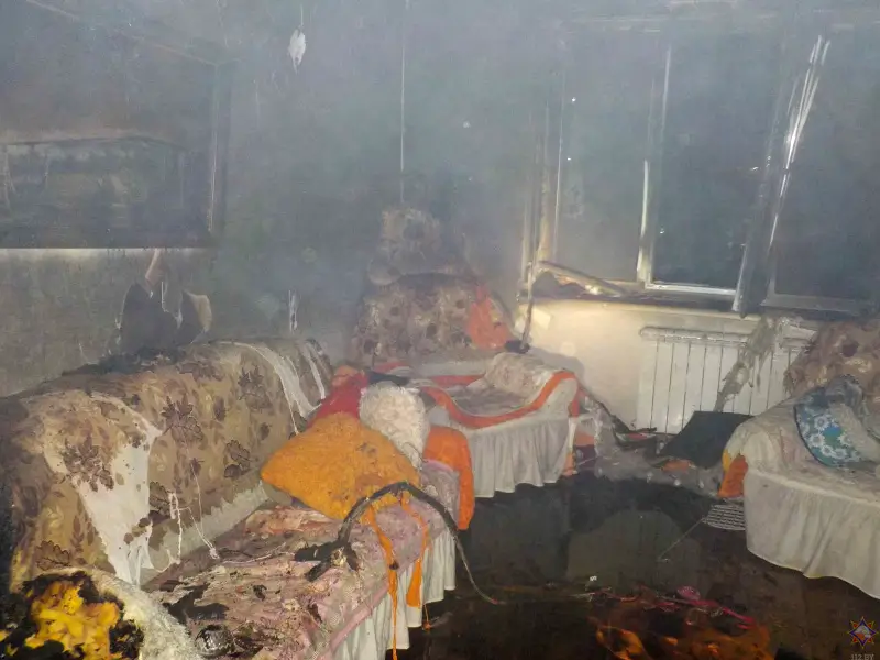 На пожаре в Бобруйске погибли 86-летняя женщина и 18 кошек