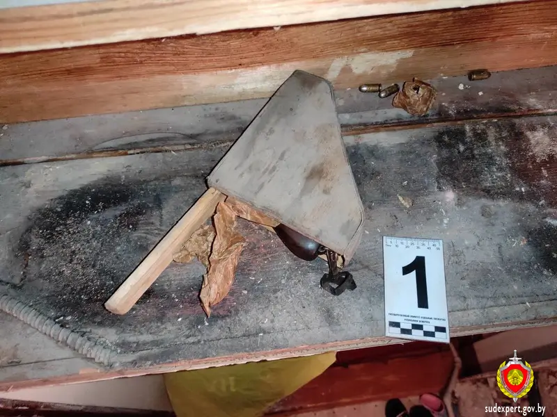 Ремонтировал дом — нашел пистолет: житель Барановичей обнаружил коробку с оружием и боеприпасами