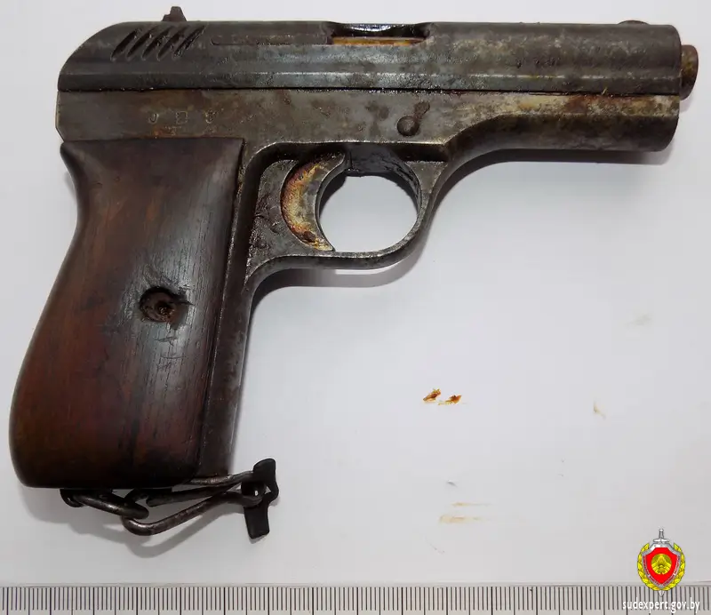 Ремонтировал дом — нашел пистолет: житель Барановичей обнаружил коробку с оружием и боеприпасами