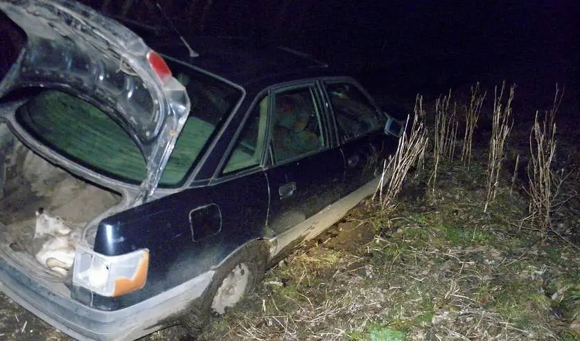 В Пинском районе браконьер бросил машину с убитой косулей и пытался сбежать