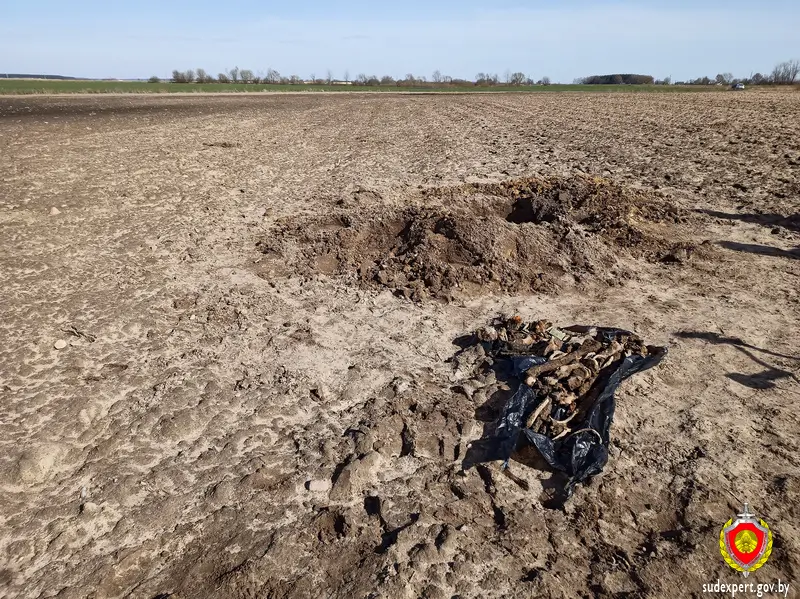 Костные останки и патроны обнаружил в поле житель Каменецкого района