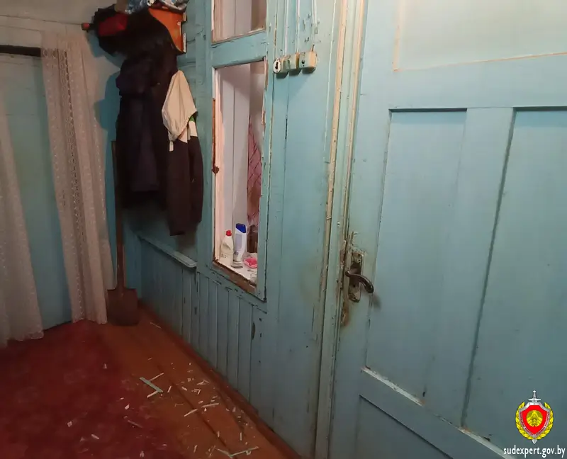 Перепутал адрес: житель Ганцевичей вломился в чужой дом, побил хозяйку и сбежал на электросамокате
