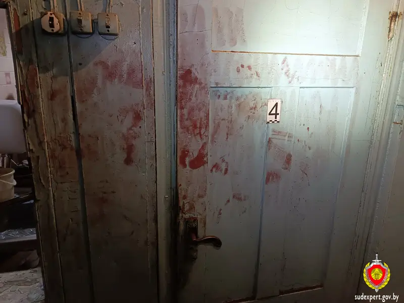 Перепутал адрес: житель Ганцевичей вломился в чужой дом, побил хозяйку и сбежал на электросамокате