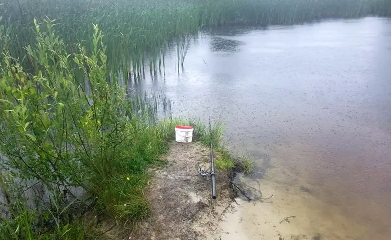 Пошел на рыбалку и не вернулся: утонул житель Березовского района