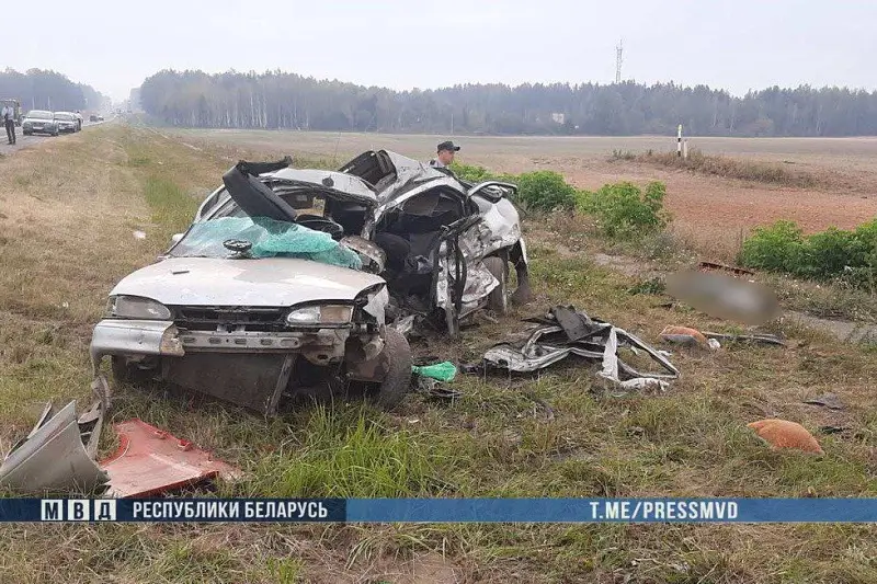 В Рогачевском районе легковушка врезалась в фуру: погибли два человека