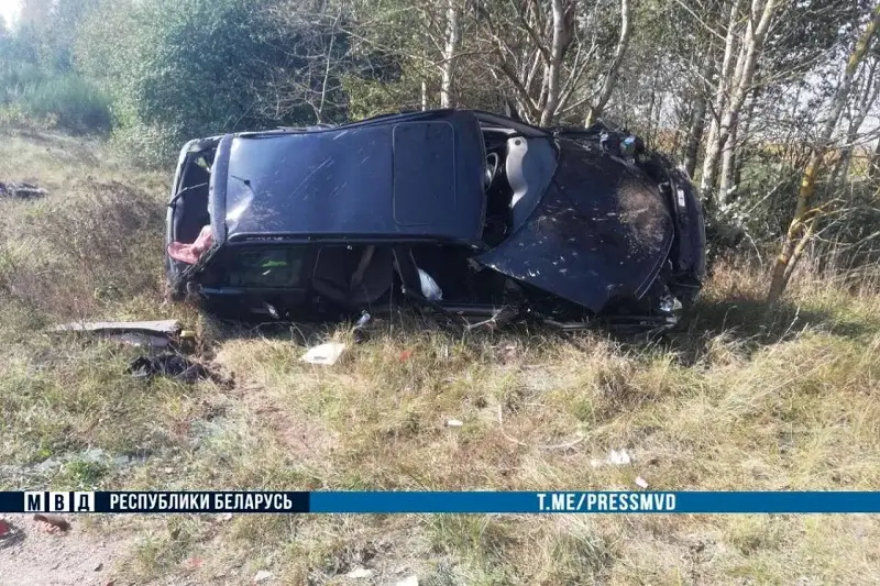 В Ляховичском районе опрокинулся «Ауди»: двое погибших, один тяжело ранен