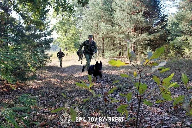 Под Брестом пограничники состязались за звание лучшей тревожной группы